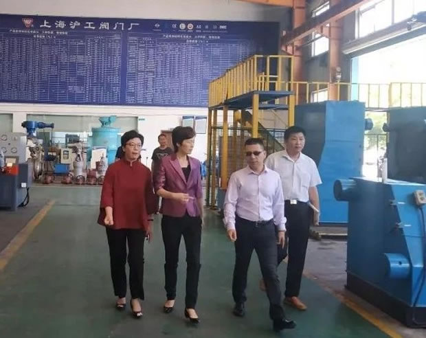 上海市嘉定區委常委、副區長董依雯視察生產車間(圖1)