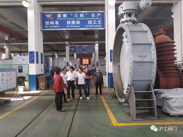 上海市嘉定區委常委、副區長董依雯視察生產車間(圖2)